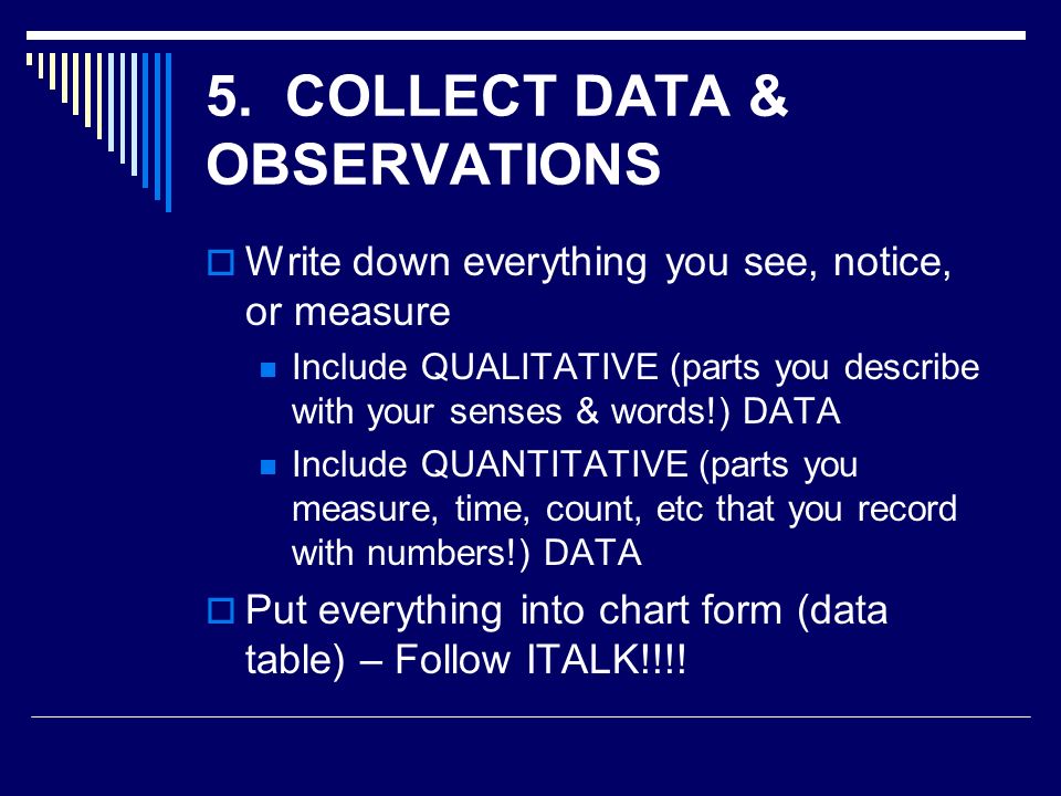 5. COLLECT DATA & OBSERVATIONS