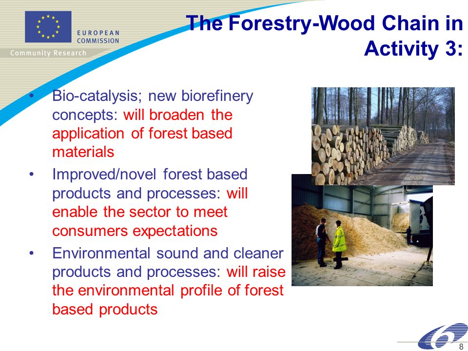 The Forestry-Wood Chain in Activity 3: