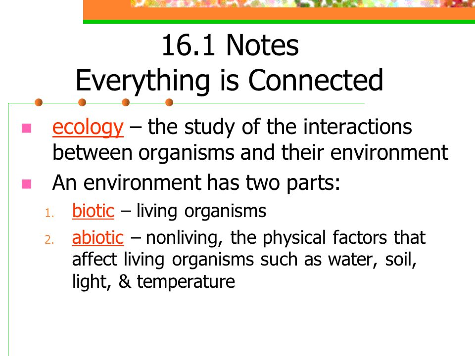 16.1 Notes Everything is Connected