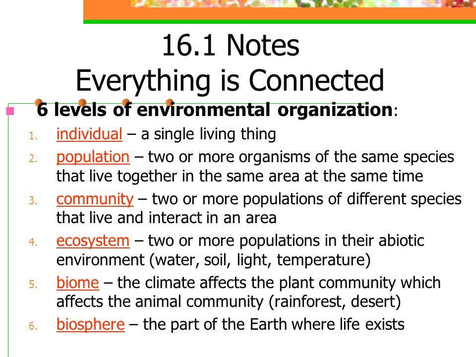 16.1 Notes Everything is Connected