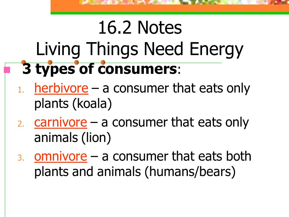 16.2 Notes Living Things Need Energy