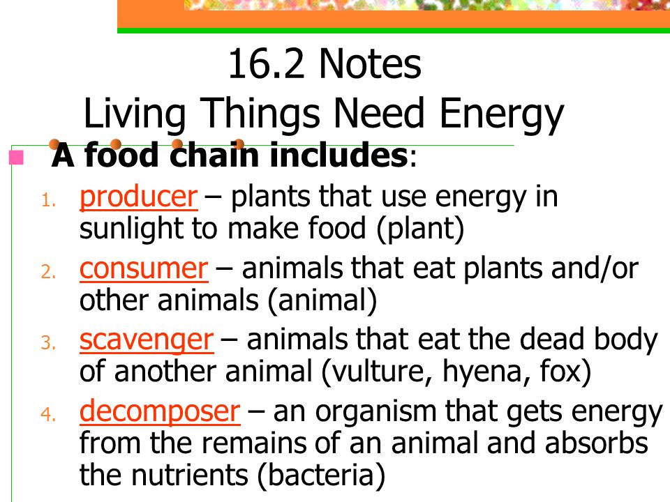 16.2 Notes Living Things Need Energy