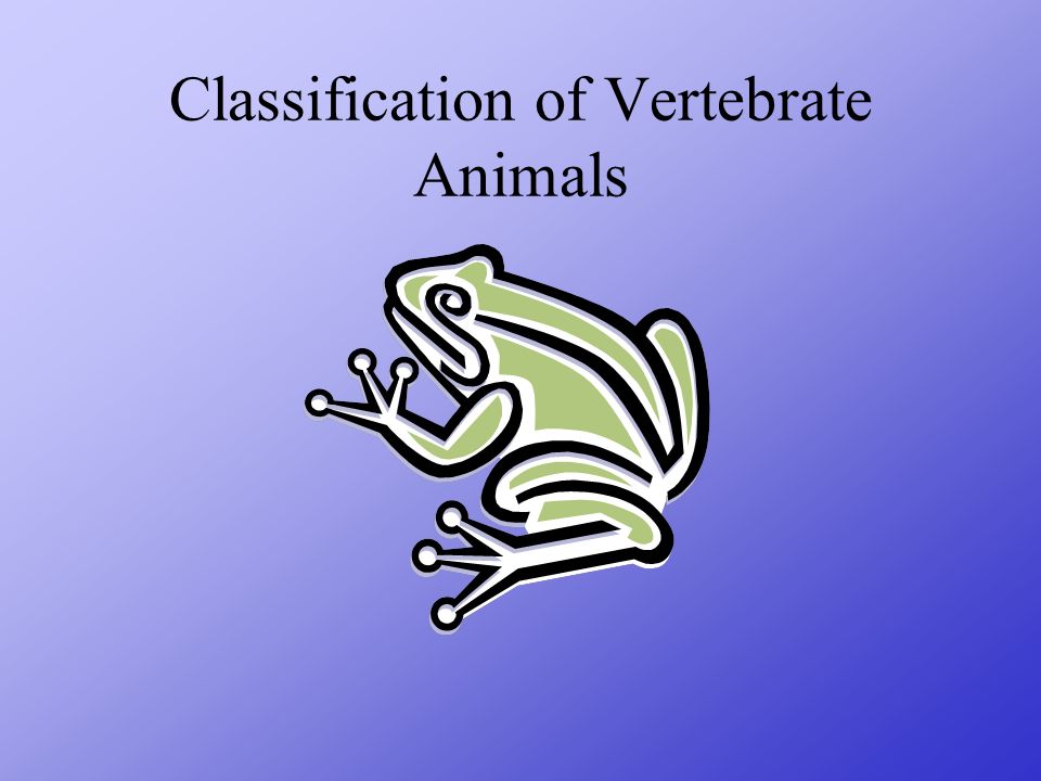Classification of Vertebrate Animals