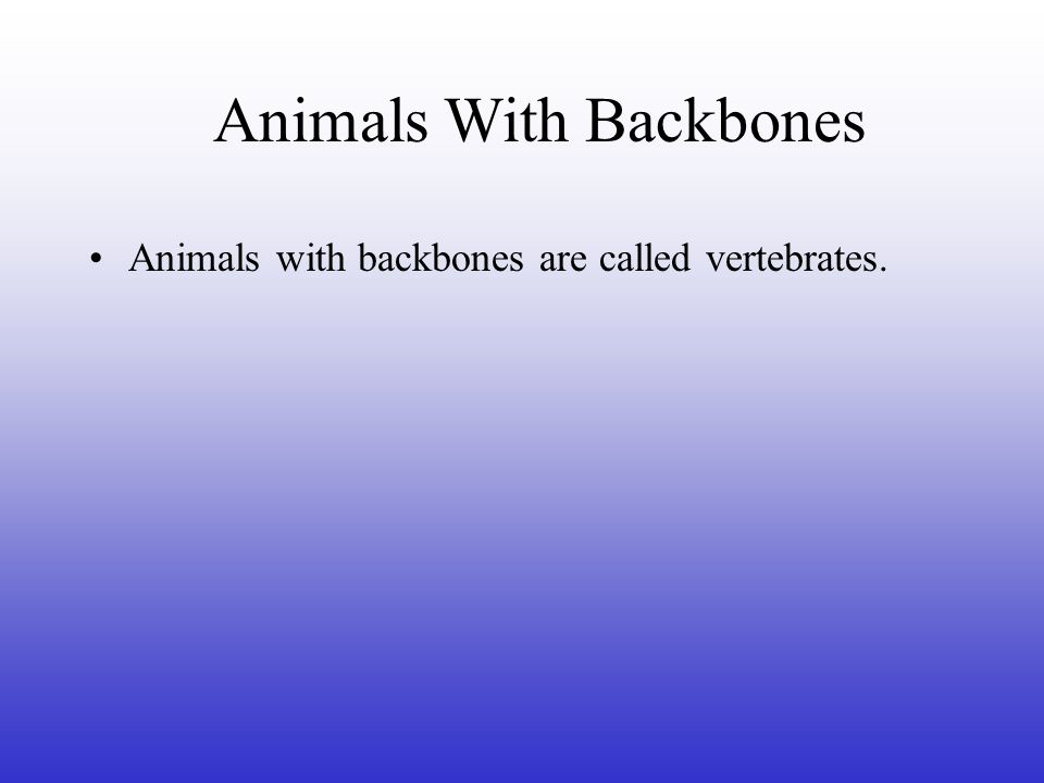 Animals With Backbones