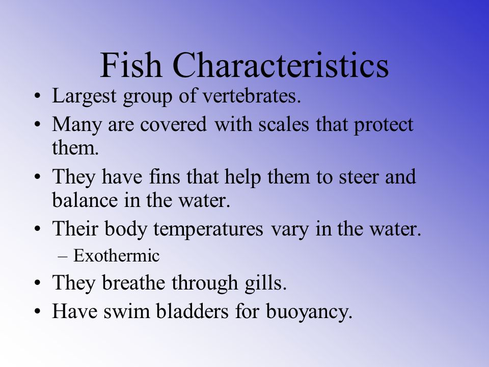 Fish Characteristics Largest group of vertebrates.