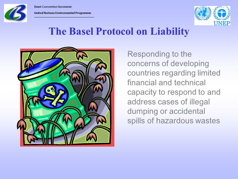 The Basel Protocol on Liability