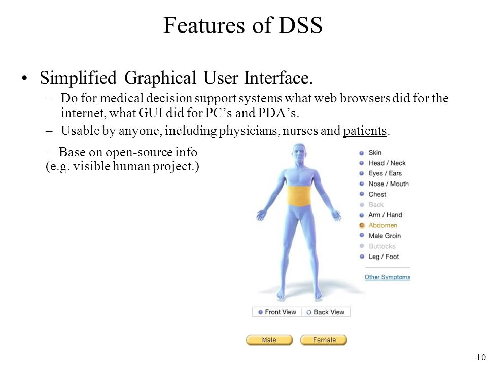 Features of DSS Simplified Graphical User Interface.