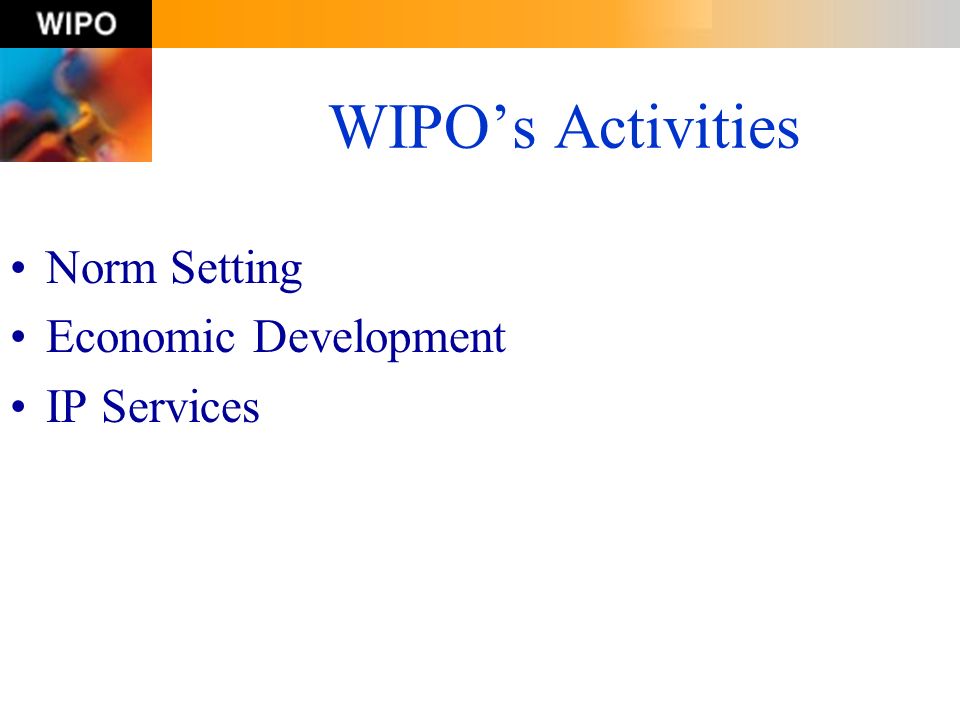 WIPO’s Activities Norm Setting Economic Development IP Services
