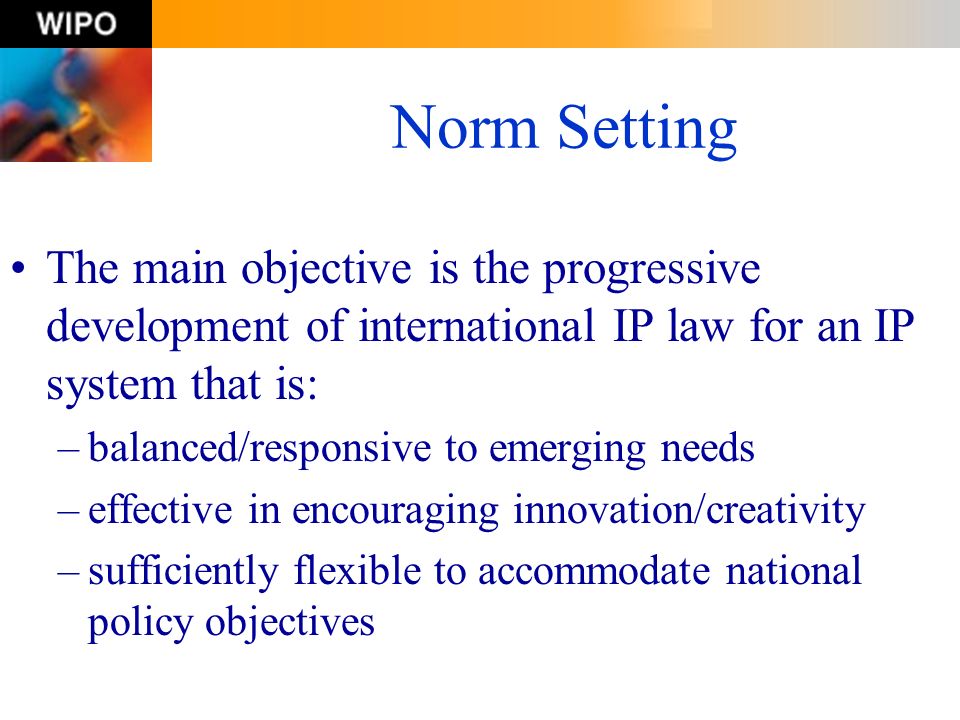 Norm Setting The main objective is the progressive development of international IP law for an IP system that is:
