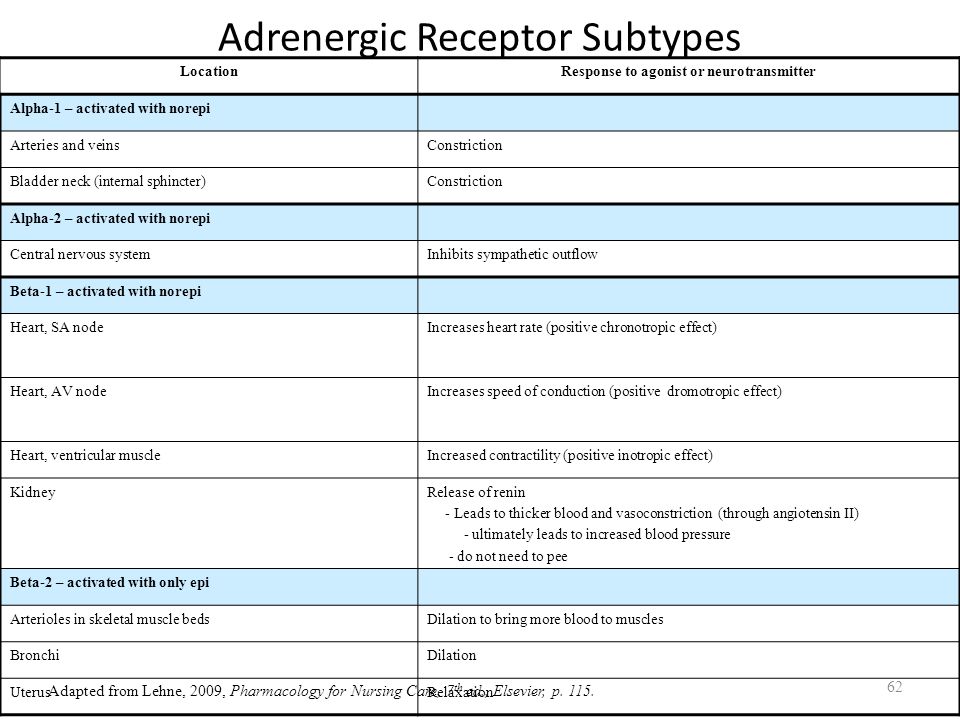 Autonomic Nervous System Ppt Download