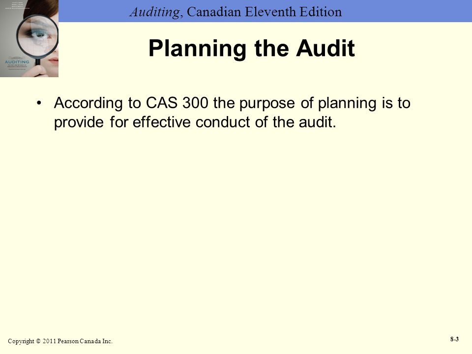 Planning the Audit According to CAS 300 the purpose of planning is to provide for effective conduct of the audit.