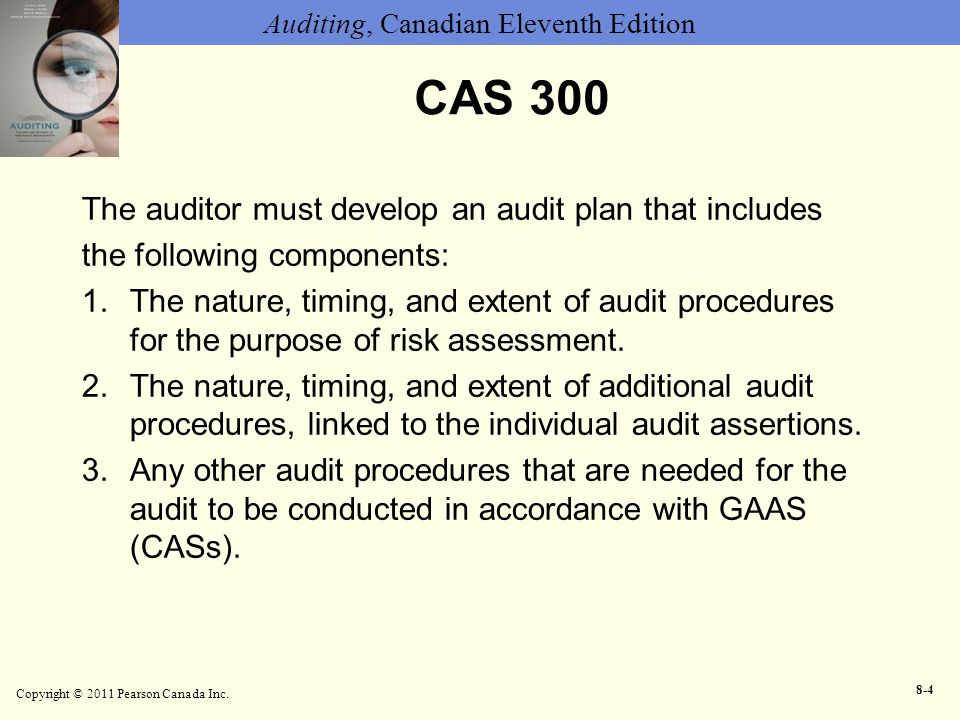 CAS 300 The auditor must develop an audit plan that includes