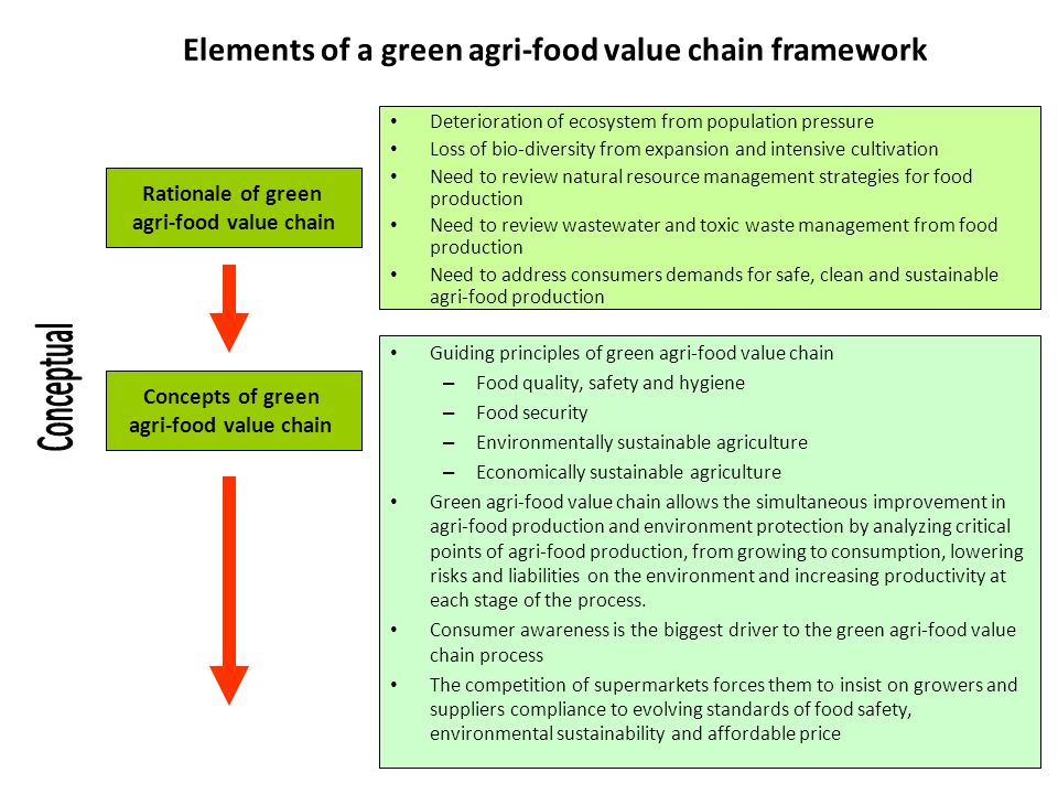Elements of a green agri-food value chain framework