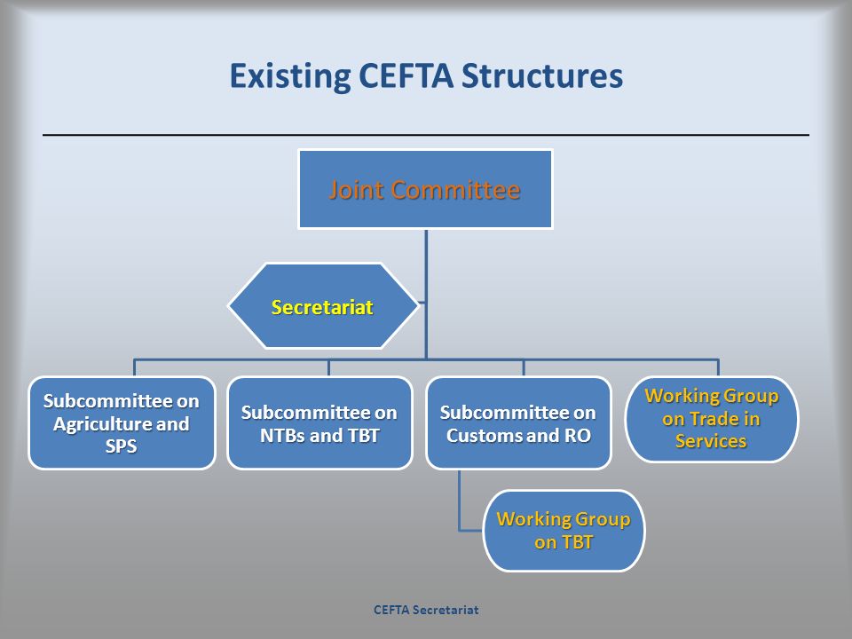 Existing CEFTA Structures