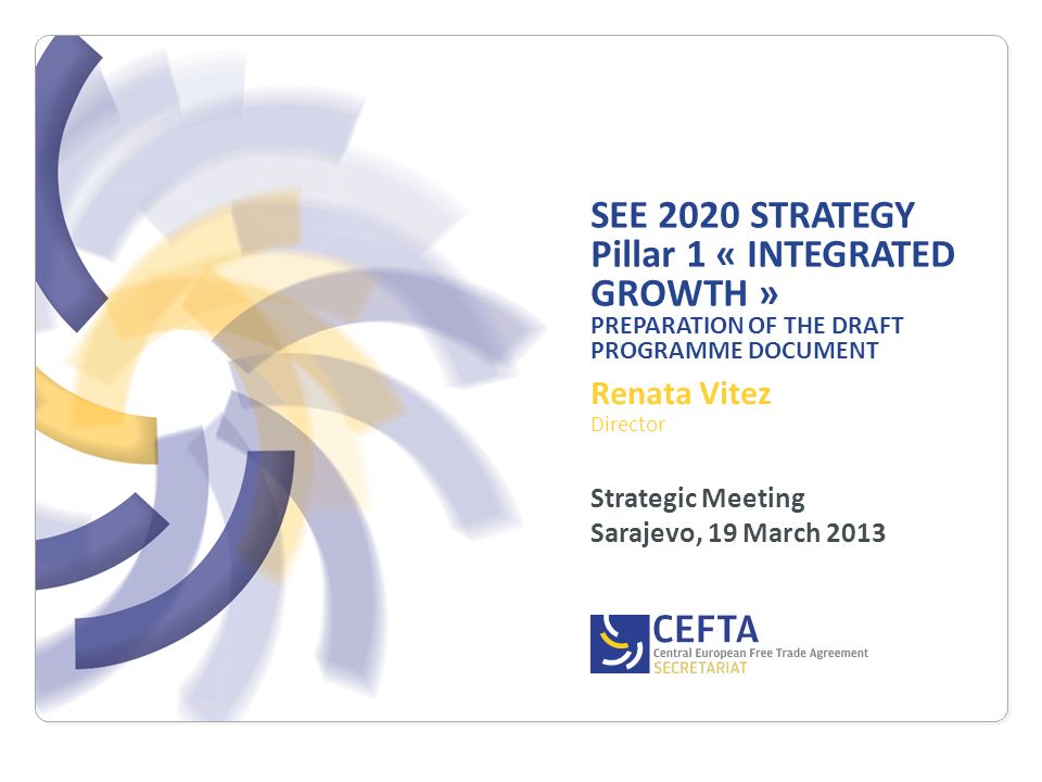 SEE 2020 STRATEGY Pillar 1 « INTEGRATED GROWTH » PREPARATION OF THE DRAFT PROGRAMME DOCUMENT