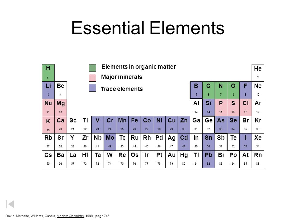 Agnes Gray skill Stop by Essential Elements. - ppt download