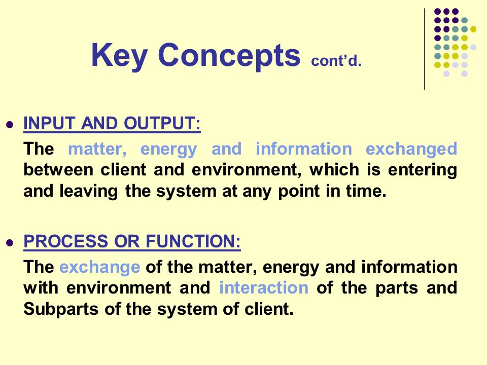 Key Concepts cont’d. INPUT AND OUTPUT: PROCESS OR FUNCTION: