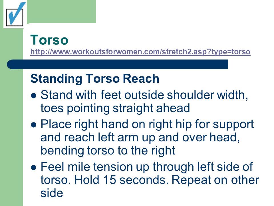 Torso   type=torso