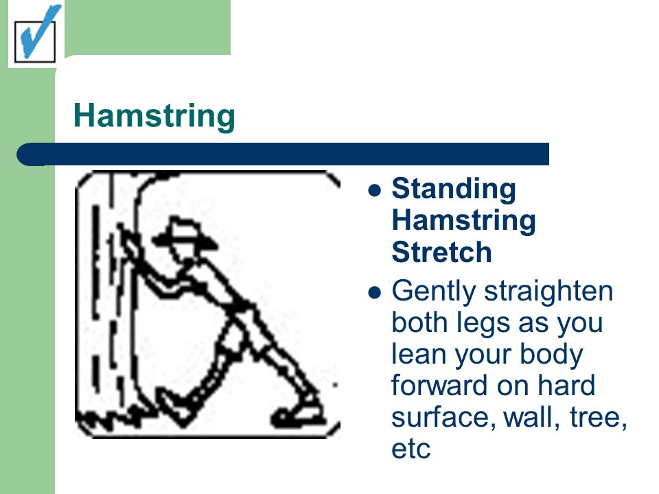 Hamstring Standing Hamstring Stretch