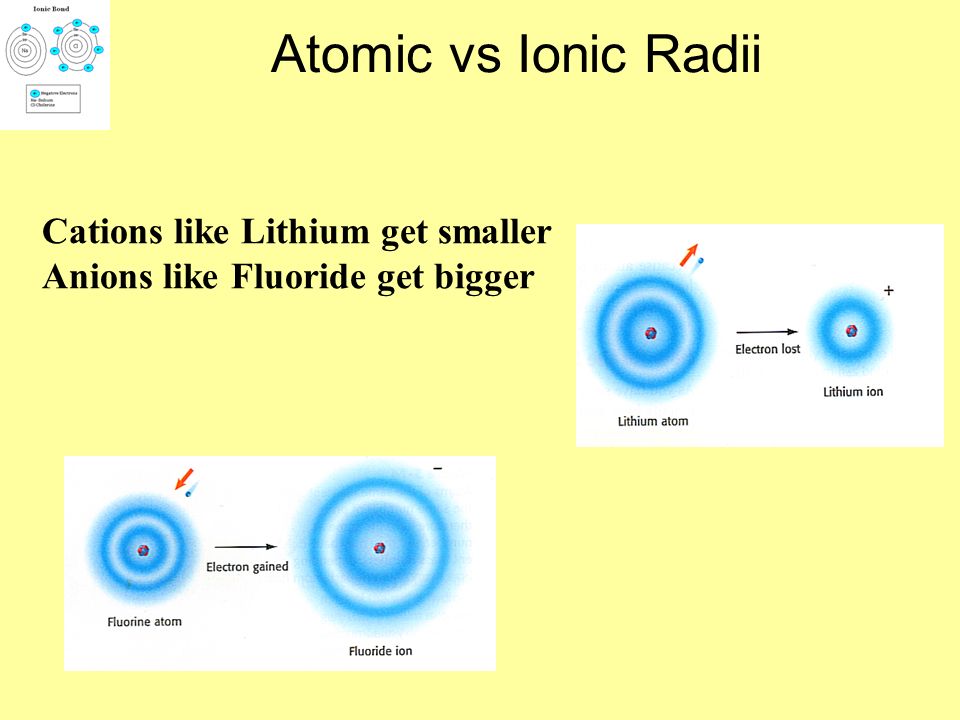 Atomic vs Ionic Radii Cations like Lithium get smaller