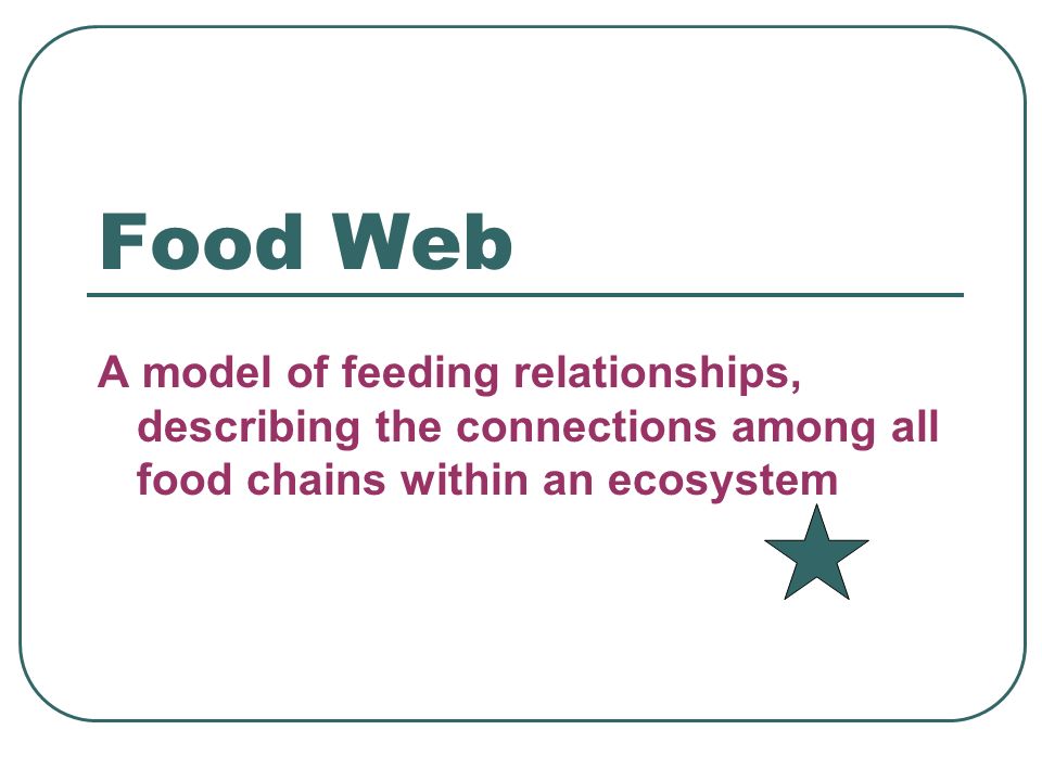 Food Web A model of feeding relationships, describing the connections among all food chains within an ecosystem.