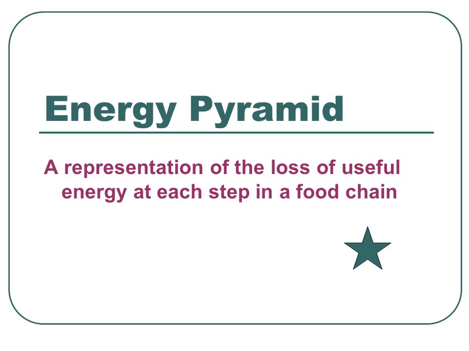 Energy Pyramid A representation of the loss of useful energy at each step in a food chain