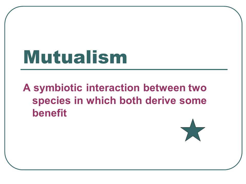 Mutualism A symbiotic interaction between two species in which both derive some benefit