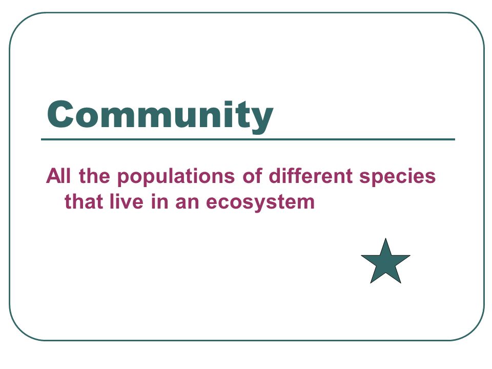 Community All the populations of different species that live in an ecosystem