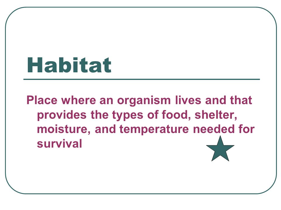 Habitat Place where an organism lives and that provides the types of food, shelter, moisture, and temperature needed for survival.