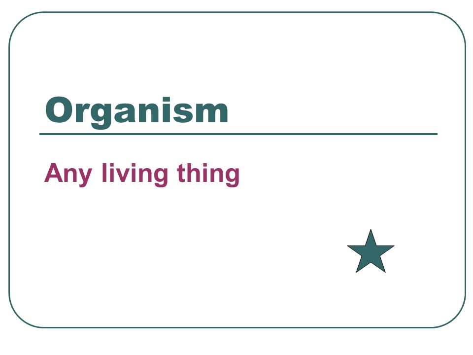 Organism Any living thing