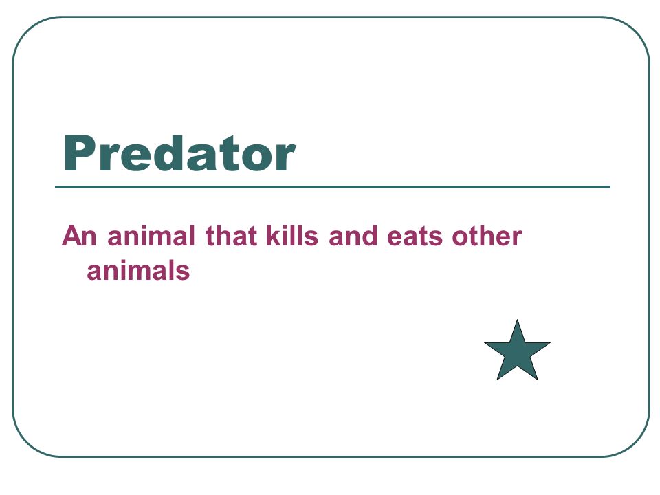 Predator An animal that kills and eats other animals