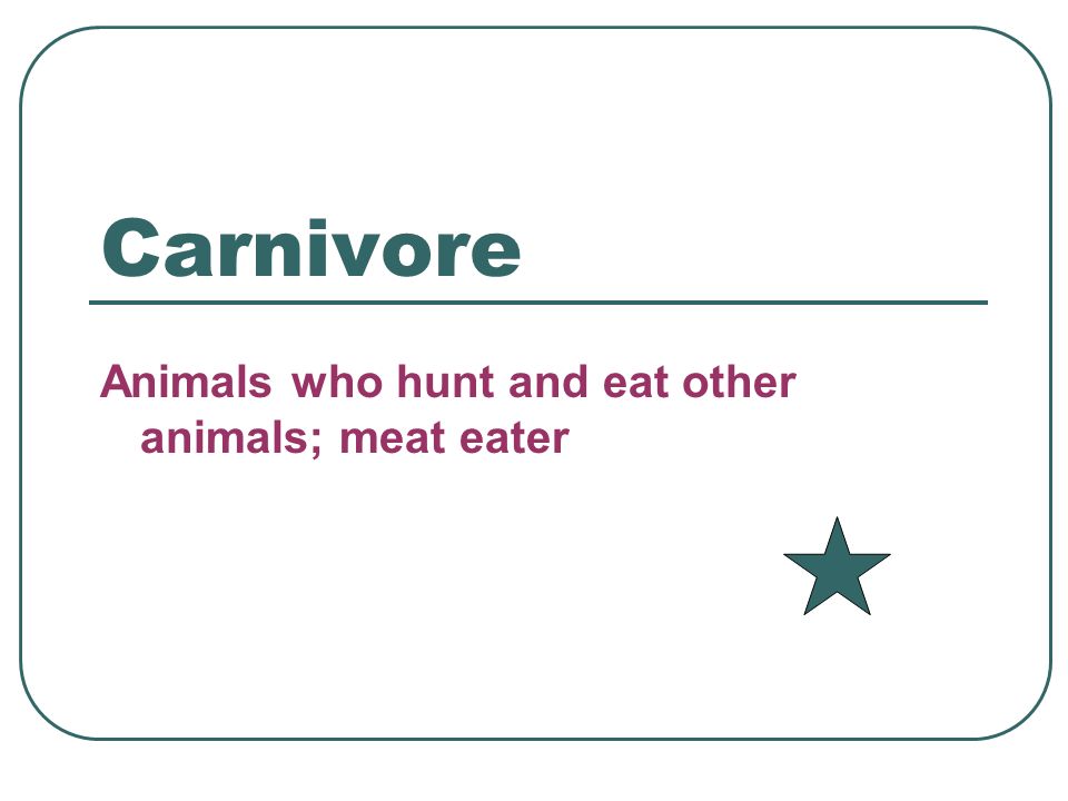 Carnivore Animals who hunt and eat other animals; meat eater