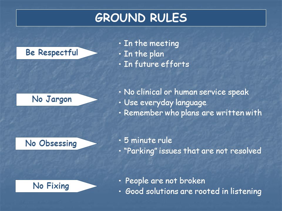 GROUND RULES In the meeting In the plan Be Respectful