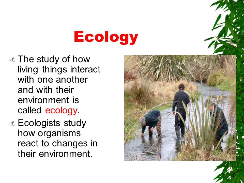 Ecology The study of how living things interact with one another and with their environment is called ecology.