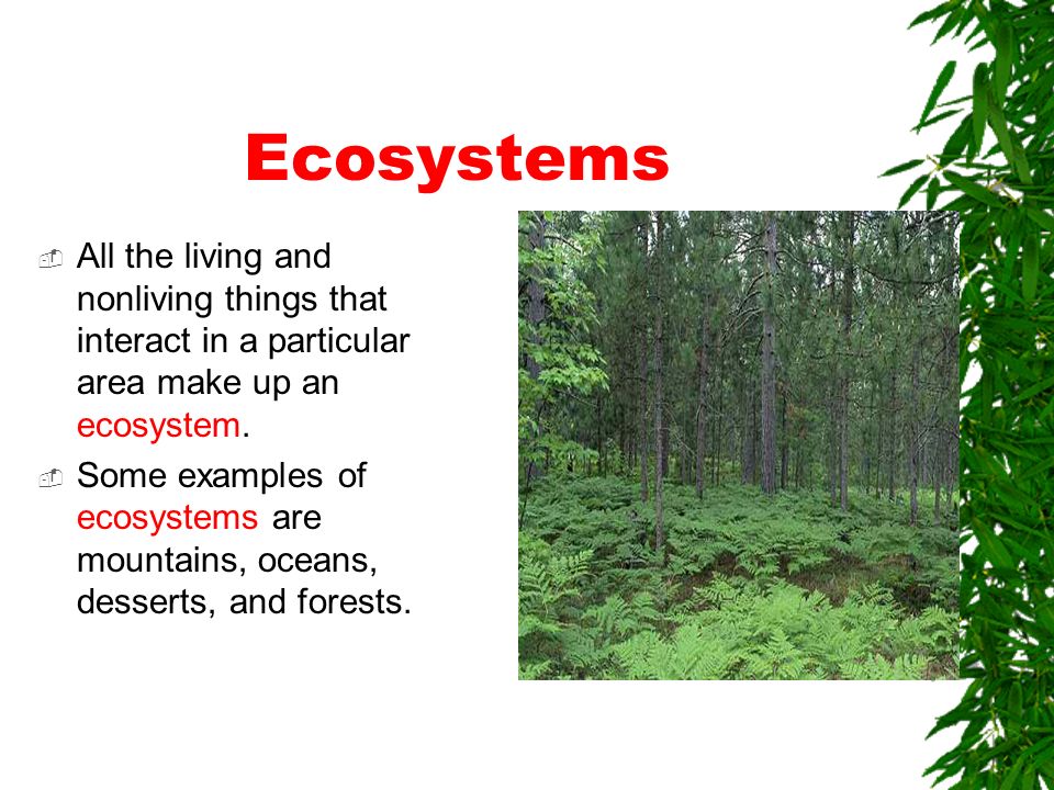 Ecosystems All the living and nonliving things that interact in a particular area make up an ecosystem.