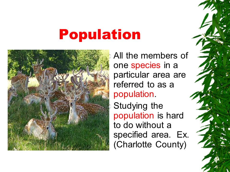 Population All the members of one species in a particular area are referred to as a population.