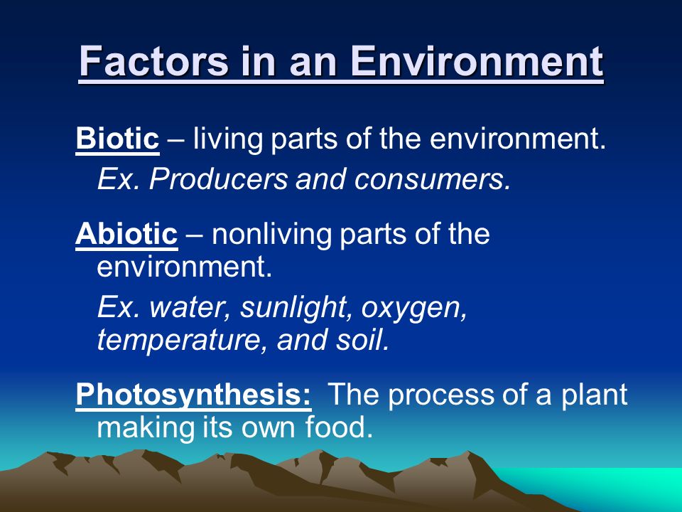 Factors in an Environment