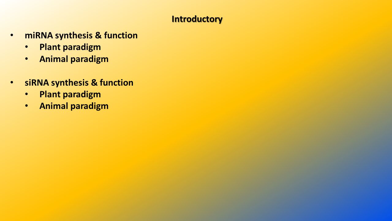 Introductory miRNA synthesis & function Plant paradigm Animal paradigm siRNA synthesis & function