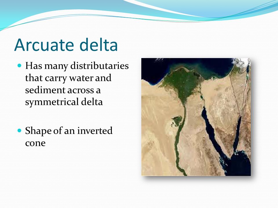 Arcuate delta Has many distributaries that carry water and sediment across a symmetrical delta.