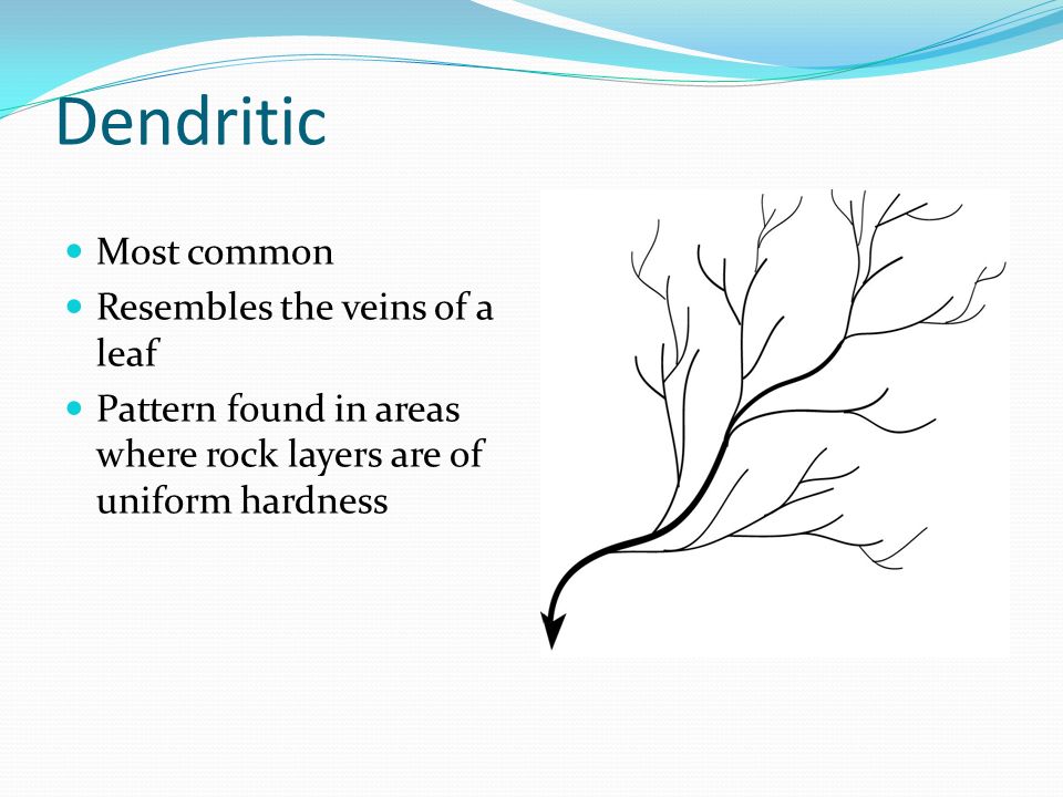 Dendritic Most common Resembles the veins of a leaf