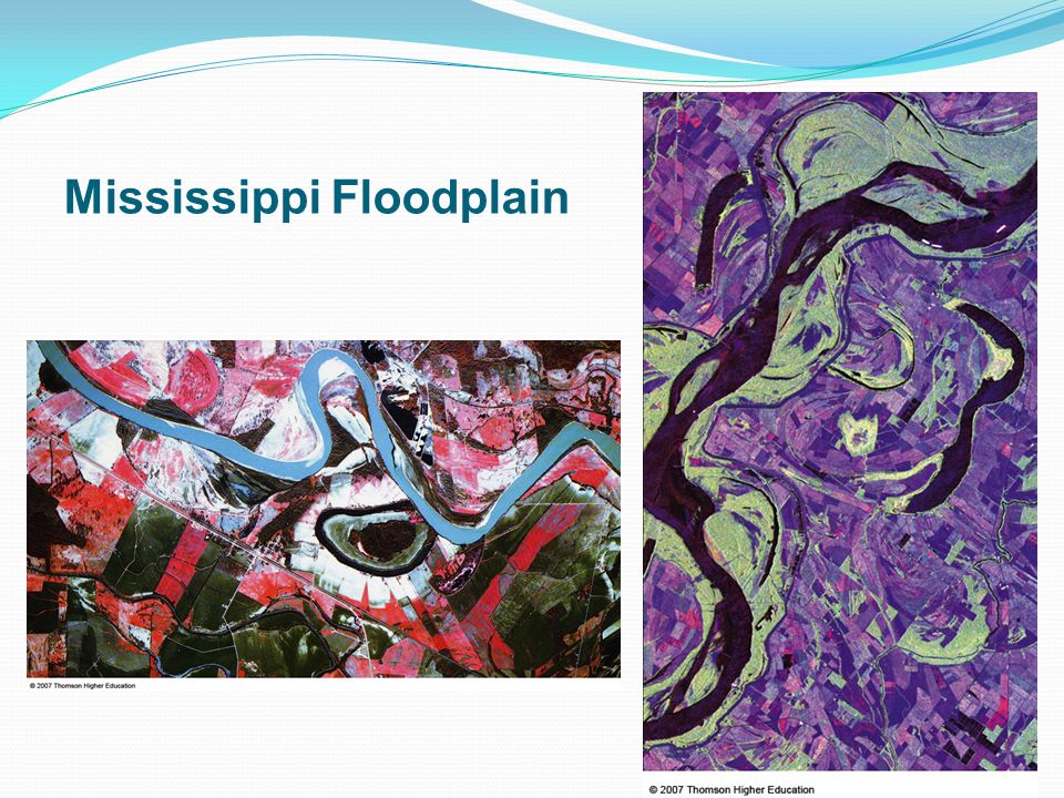 Mississippi Floodplain