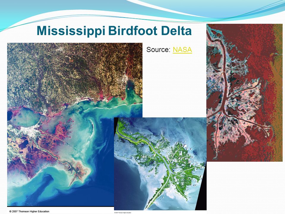 Mississippi Birdfoot Delta