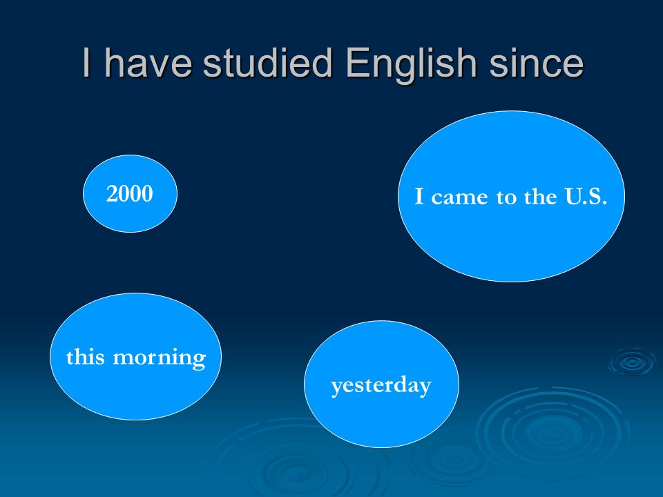 I have studied English since