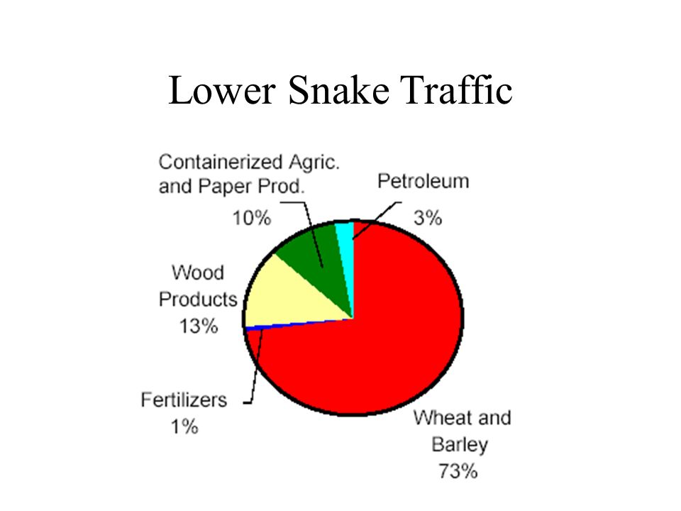 Lower Snake Traffic