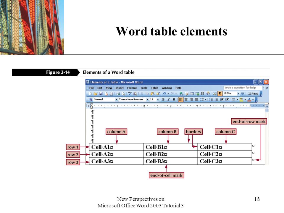 New Perspectives on Microsoft Office Word 2003 Tutorial 3