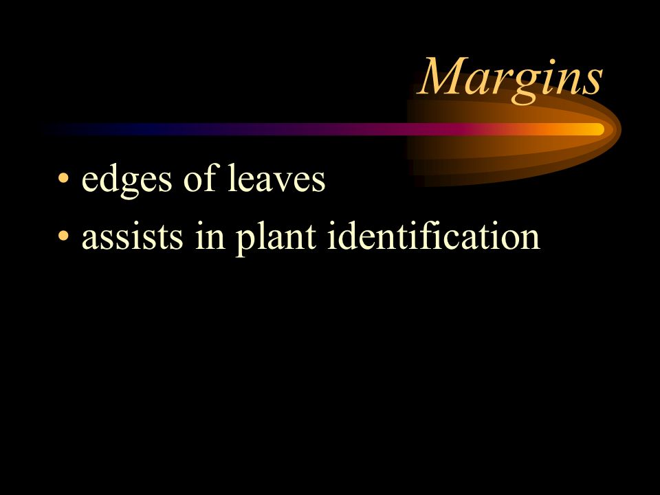 Margins edges of leaves assists in plant identification