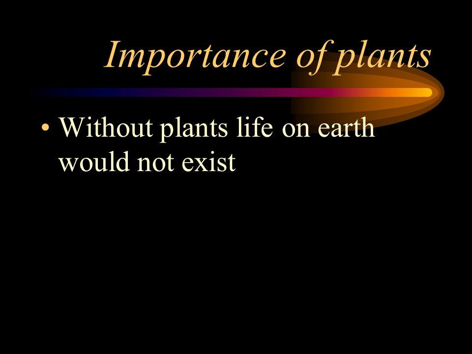 Importance of plants Without plants life on earth would not exist