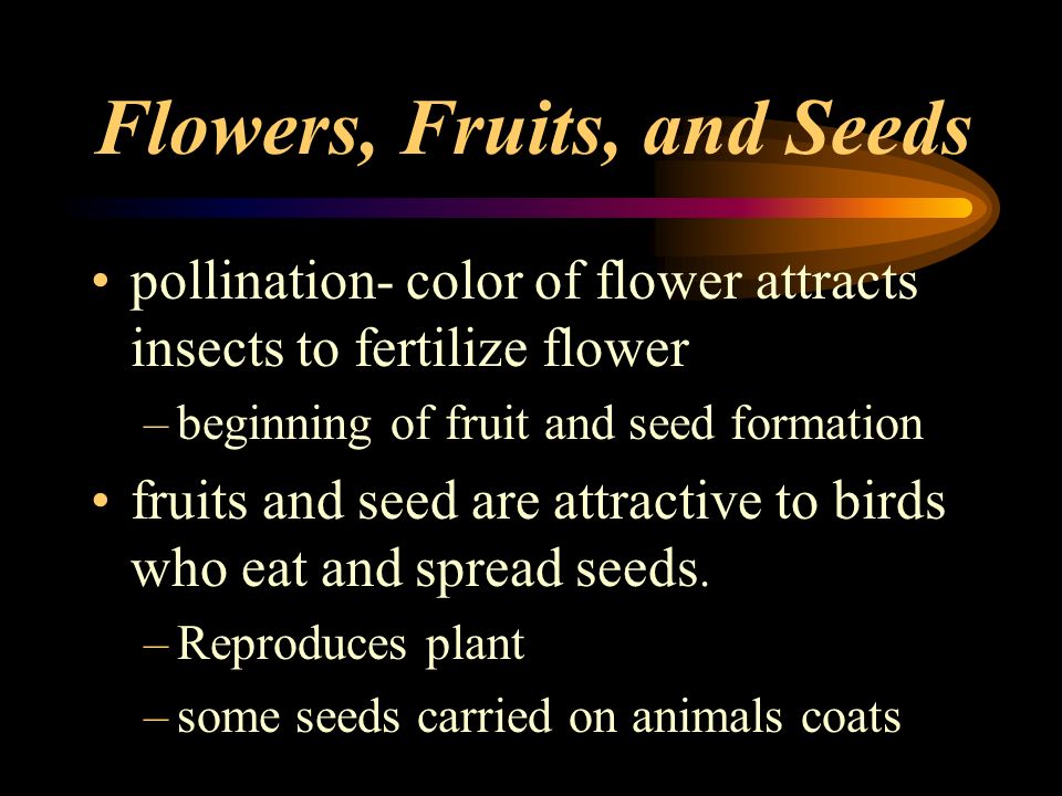 Flowers, Fruits, and Seeds