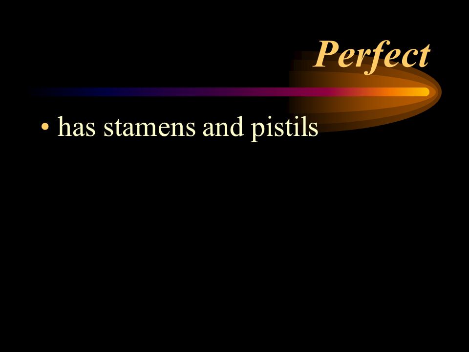 Perfect has stamens and pistils