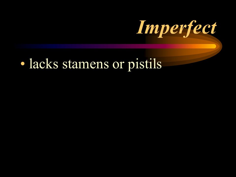 Imperfect lacks stamens or pistils